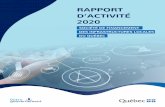 RAPPORT D’ACTIVITÉ 2020 - Société de financement des ...