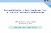 Biomass Utilization at Coal-Fired Power Plant A Choice for ...