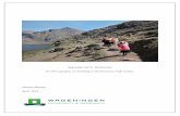 WALKING WITH QUECHUA An ethnography of worlding in the ...