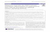 Melatonin promotes the BMP9-induced osteogenic ...