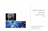 Neuro Science 1 Module Study Guide