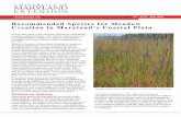 Recommended Species for Meadow Creation in Maryland s ...