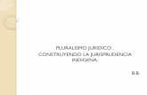 PLURALISMO JURIDICO . CONSTRUYENDO LA JURISPRUDENCIA ...