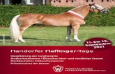 Handorfer Haflinger-Tage