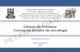 Câncer de Próstata: Constante desafio da oncologia