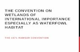 THE CONVENTION ON WETLANDS OF INTERNATIONAL …