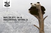WWF - Wildlife in a Warming World - 2018 Final