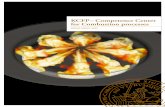 KCFP – Competence Center for Combustion processes …