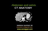 CT Abdomen and pelvis - ssregypt.com