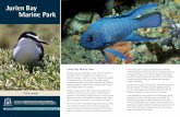 Jurien Bay Marine Park - Explore Parks WA | Parks and ...
