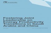 Fostering Joint Leadership on Energy Productivity ...