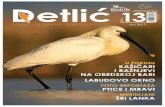 Detlić 13 - Društvo za zaštitu i proučavanje ptica Srbije