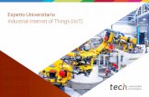 Experto Universitario Industrial Internet of Things (IIoT)