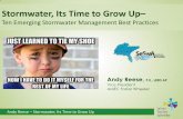 Stormwater, Its Time to Grow Up