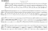 Flute Solos: Beethoven, Score