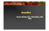 Jaundice DMW PDF - UMP