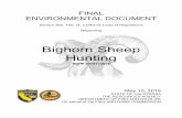 Bighorn Sheep Hunting - California
