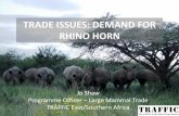 TRADE ISSUES: DEMAND FOR RHINO HORN