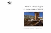 White E lephants in the Green Mountains - Panda