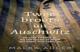 Twee broers uit Auschwitz Opmaak - Meta4Books