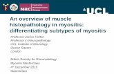 An overview of muscle histopathology in myositis ...