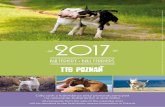 2017 - Kalendarze z bulterierami