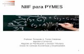 NIIF para PYMES - Manual de Consultas IFRS