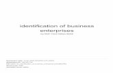 enterprises identification of business