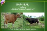 SAPI BALI - erepo.unud.ac.id