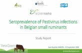 Seroprevalence of Pestivirus infections in Belgian small ...