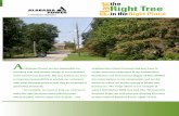 right tree brochure - Alabama NewsCenter