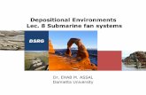 Depositional Environments Lec. 8 Submarine fan systems