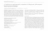 A multi-locus phylogenetic evaluation of Diaporthe Phomopsis
