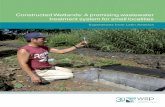 Constructed Wetlands: A promising wastewater treatment ...