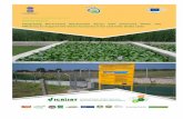 Wastewater reuse in agriculture - ICRISAT