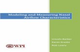 Modeling and Measuring Nasal Airflow Characteristics