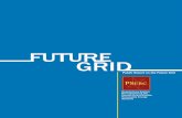 Public Report on the Future Grid