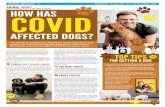 by Rory Cowlam HOW HASCOVID AFFECTED DOGS?