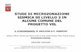 STUDI DI MICROZONAZIONE SISMICA DI LIVELLO 3 IN ALCUNI ...