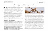 Ecology and Management of Mourning Doves in Missouri