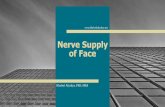 Nerve Supply of Face - WordPress.com