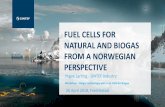 Fuel cells for natural and biogas from a Norwegian perspective