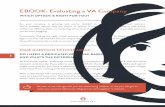 EBOOK: Evaluating a VA Company - Boldly