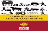 FARM WORKERS AND HUMAN RIGHTS - sahrc.org.za