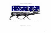 Designing Large-Scale LANs - UMM