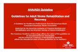 AHA/ASA Guideline Guidelines for Adult Stroke