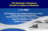 The Bacterial Structures Growth & Culture of Bacteria