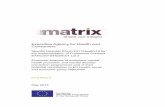 Matrix Economic Analysis - European Commission