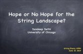 Hope or No Hope for the String Landscape?