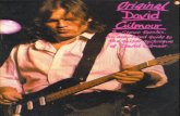 Original David Gilmour - Sheets Daily